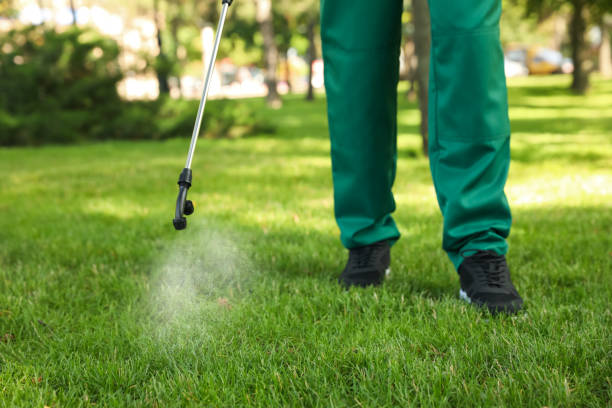 Best Rat Extermination Near Me  in Webster, TX